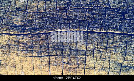 Grey abstract background with a cracked bark of a tree trunk Stock Photo