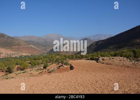 Terraced farm landscape near Asni, in the Atlas Mountains, Morocco. Stock Photo