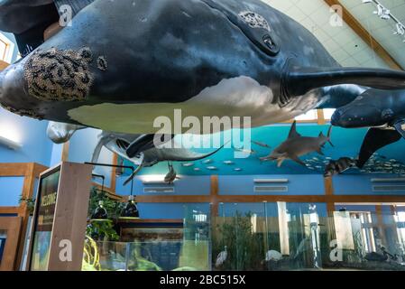 GTM Research Reserve Visitor Center in Ponte Vedra Beach, Florida. (USA) Stock Photo