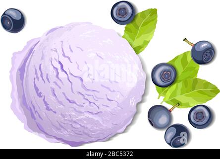 Violet ice cream with blueberry leaves and berries isolated on white background, top view vector illustration Stock Vector