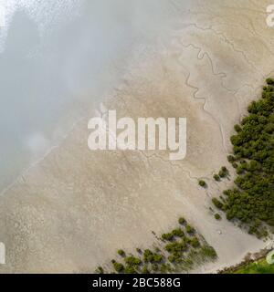 Top view of a boat laying on the shore in Matakohe area, New Zealand. The boat rests on the sand at low tide between forests of green trees. Deep crac Stock Photo