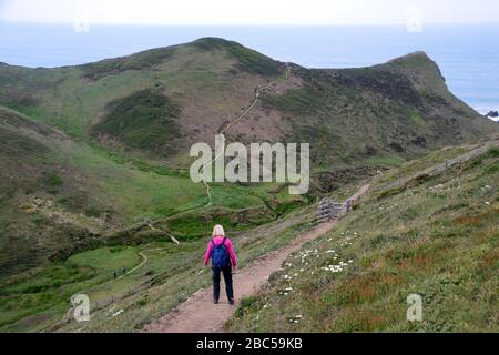 Lone Woman Hiker Walking down to the Tidna Shute Valley with Higher Sharpnose Point ahead on the South West Coastal Path, North Cornwall, England, UK. Stock Photo