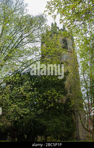 Spring blossom and The Friary Tower, Richmond, North Yorkshire, England, UK Stock Photo