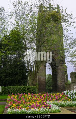 Spring blossom and The Friary Tower, Richmond, North Yorkshire, England, UK Stock Photo