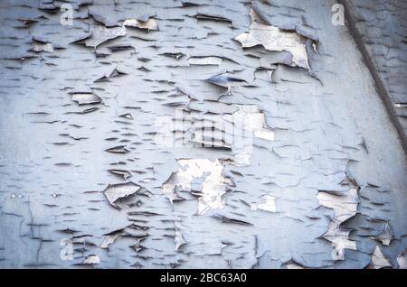 designed bricks & stone wall - close up view within the historical buildings of Trieste Stock Photo