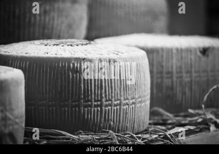 mix of artisanal cheese close up view Stock Photo