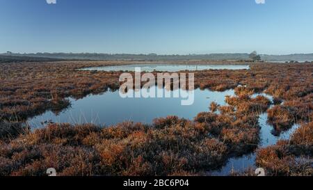 Calm scene of 2 ponds or small lakes in the New Forest, UK. Taken just after sunrise when all was peaceful and still