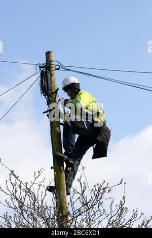 Telecom field engineer climbing a telegraph pole and carrying out maintenance for domestic telephone lines Stock Photo