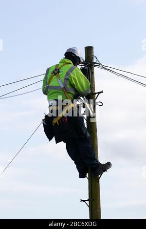 Telecom field engineer climbing a telegraph pole and carrying out maintenance for domestic telephone lines Stock Photo