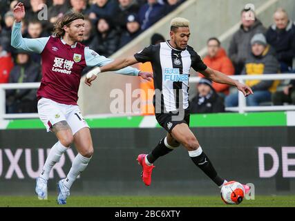 Joelinton of Newcastle United and Jeff Hendrick of Burnley in action - Newcastle United v Burnley, Premier League, St James' Park, Newcastle upon Tyne, UK - 29th February 2020  Editorial Use Only - DataCo restrictions apply Stock Photo