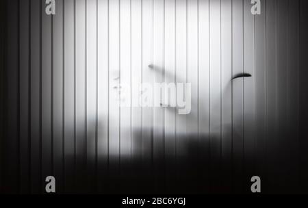 Vertical white blinds are closed. Against the background, flowers standing on the windowsill are partially translucent. Stock Photo
