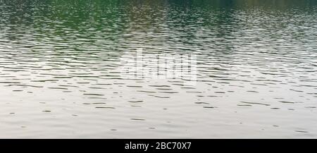 Tranquil standing water surface. Natural pattern texture and colour. Sunlight reflection. Nature photography background. Copy space room for text on f Stock Photo