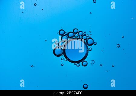 Gradient Oil drops in the water. Oil bubbles in water, round abstract drops. Stock Photo