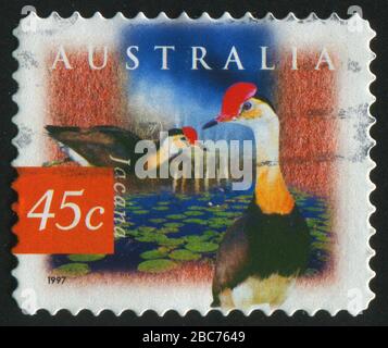 AUSTRALIA - CIRCA 1997: stamp printed by Australia, shows bird, circa 1997. Stock Photo