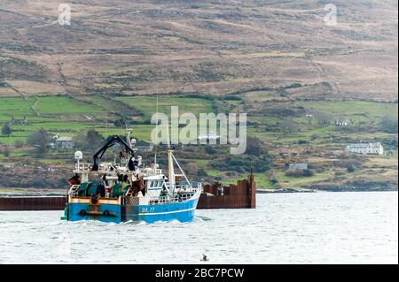 Castletownbere, West Cork, Ireland. 3rd Apr, 2020. A fishing vessel sails to the fishing grounds from Castletownbere Harbour. This is despite fishermen giving away €4,000 worth of freshy caught fish to locals last weekend. Credit: Andy Gibson/Alamy Live News Stock Photo