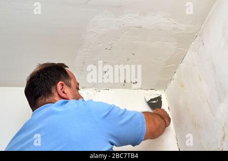 Man putting spackle with a spatula on a wall during renovating works Stock Photo