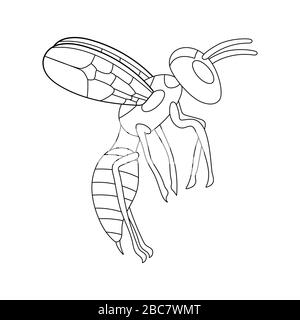 cartoon flying wasp outline. white background isolated stock vector illustration Stock Vector