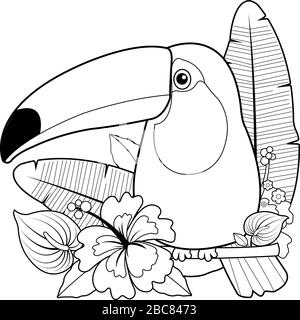 Toucan bird and exotic plants and flowers. Vector black and white coloring page Stock Vector