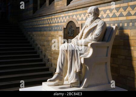 Statue of Charles Darwin in Natural History Museum, London, UK Stock Photo