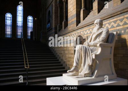 Statue of Charles Darwin in Natural History Museum, London, UK Stock Photo