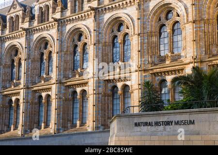 Natural History Museum, London, UK Stock Photo