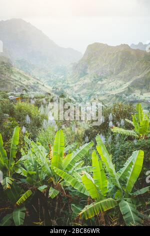 Landscape of banana and sugar cane plantation in front of the green mountains of the Paul Valley, on the island of Santo Antao, Cape Verde. Stock Photo