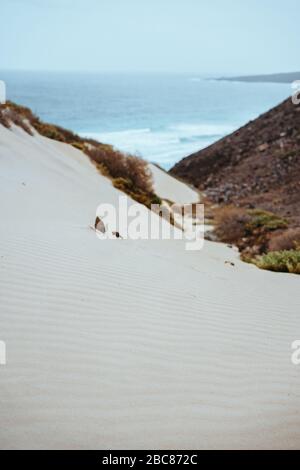 Surreal white sand dunes on the Atlantic coastline on Baia Das Gatas. North of Calhau, Sao Vicente Island Cape Verde.