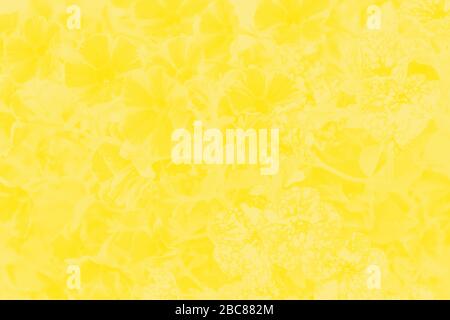 Vivid yellow patchy floral background, flowers pattern Stock Photo