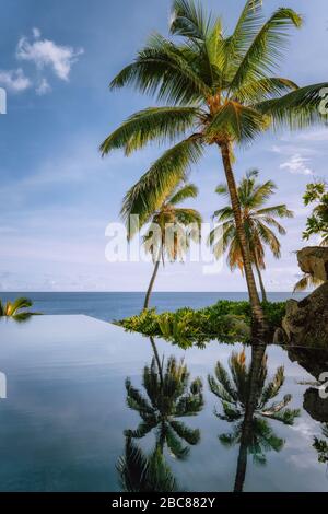 Infinity pool with coconut palm trees and ocean view. Stock Photo