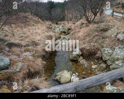Small river in Praglia along a forest pathway in Piani di Praglia Stock Photo