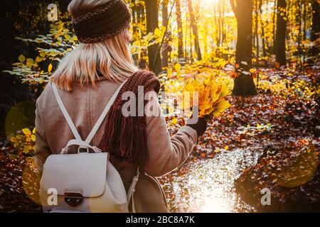 Rear view of female holding bouquet of yellow autumn maple leaves in her gloved hands. Ground covered with orange leaves lightened by warm evening bac Stock Photo