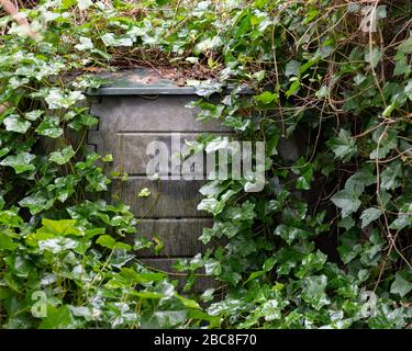 neglected overgrown compost bin in shady corner of garden Stock Photo