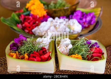 Horizontal close up of flowers and palm leaf used to make Canang Sari in Bali, Indonesia. Stock Photo