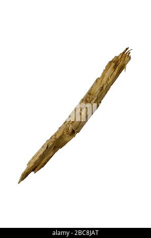 Round wood chips. Cracked branch without bark. Isolate on a white background. Close-up. The natural state. Stock Photo