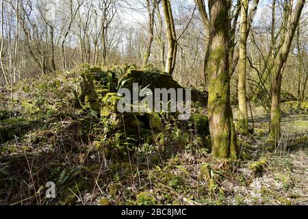 Site of the old now disused Rishworth Railway Station and line. Stock Photo