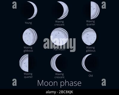 Moon phases. The whole cycle from the new moon to the full. Vector illustration Stock Vector