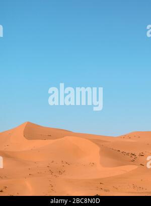 Sand Dunes in the Sahara Desert (Morocco) Stock Photo