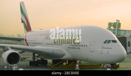 DUBAI, UAE - FEBRUARY 02, 2020: Aircraft Airbus A380-800 of Emirates Airlines on the Dubai International Airport