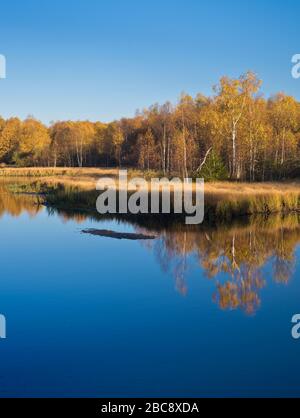 Europe, Germany, Hesse, UNESCO Rhön Biosphere Reserve, Rotes Moor nature reserve near Gersfeld, autumn mood on the moor lake, water reflection Stock Photo