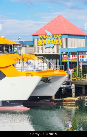 Boat Harbour Urangan Hervey Bay Fraser Coast Queensland Australia Stock ...