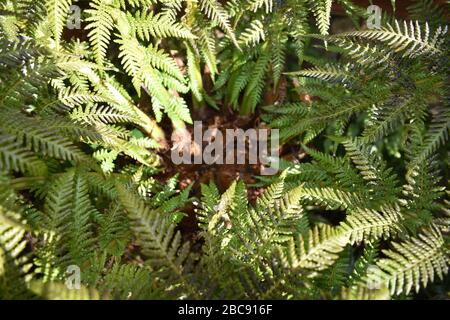 These images reflect some of the reasons I am passionate about gardening and wildlife. Stock Photo