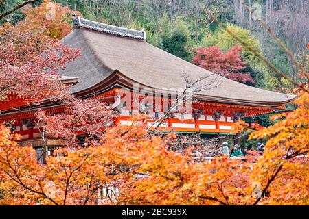 Colorful Japanese garden near the temple  during autumn time Stock Photo