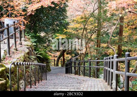 Stairway to the garden during autumn time Stock Photo
