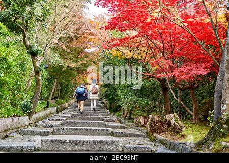 People are walking in the park full of red leaves Stock Photo