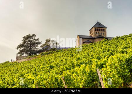 Basilica at Schloss Johannisberg, a pearl in the Rheingau, in the middle of vineyards, mostly Riesling wines, Stock Photo
