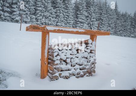 Firewood is stacked in winter. Chopped pile of wood. Lots of wood. Preparation of firewood for the winter. Stock Photo