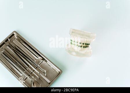 Model of the jaw with braces on a blue background next to dental instruments. Stock Photo