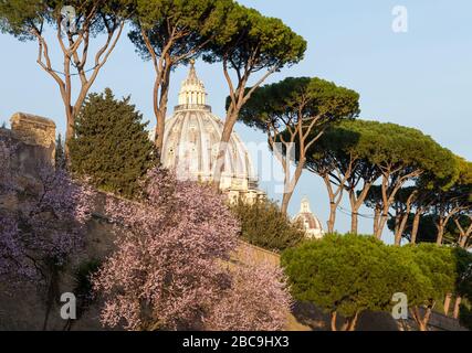 Walls of Vatican City and the dome of the Papal Basilica of St. Peter. Rome, Italy Stock Photo