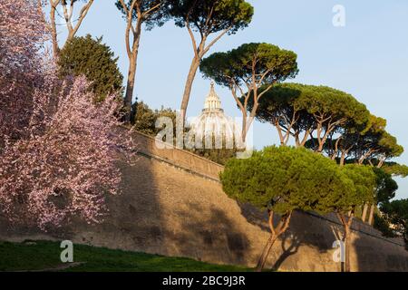 Walls of Vatican City and the dome of the Papal Basilica of St. Peter. Rome, Italy Stock Photo