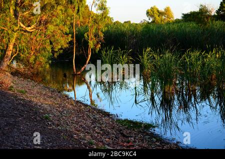 Lake Monger Reserve Stock Photo